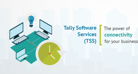 Tally Software Services (Multiuser)